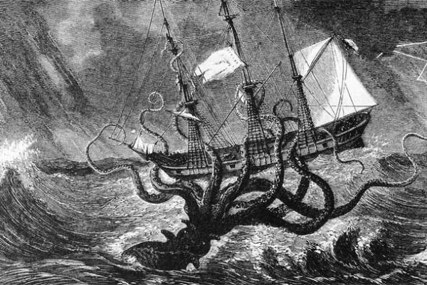 Kraken даркнет что это